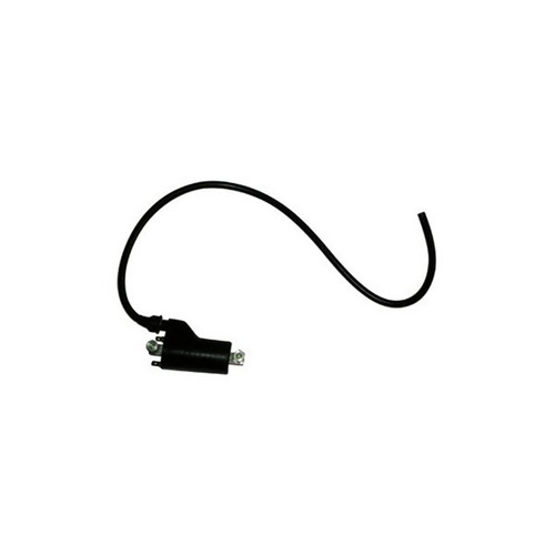 External coil for ducati 750 - for,