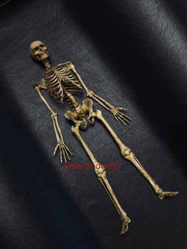 Scale human beings - 1/12,