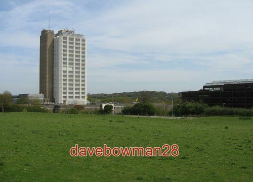 Photo basingstoke head - photo,