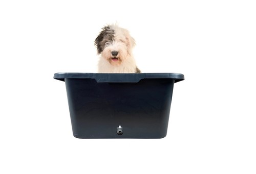 Outdoor pet dog - , bath/pool