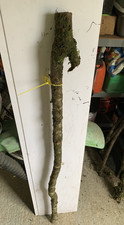 Blackthorn Huge Shank Walking