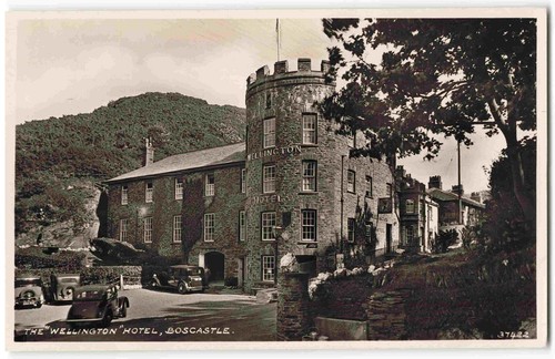 Boscastle cornwall wellington - boscastle,