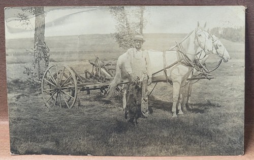 Rppc horses drawn - rppc, mower