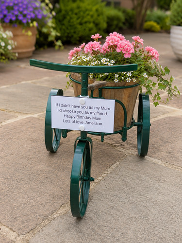 Personalised metal tricycle - personalised,