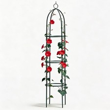 NEW GARDEN OBELISK CLIMBING