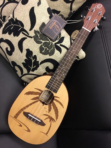 Ortega rupa5 pineapple concert - rupa5,