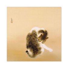 Seiho Madaraneko Tabby Cat