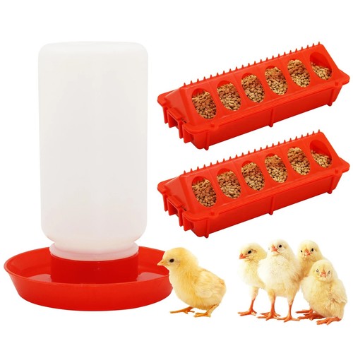 Automatic chicken feeder - automatic,