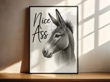 Funny Donkey Wall Art Print