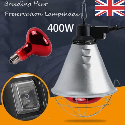 400w bulb infrared heat - bulb,