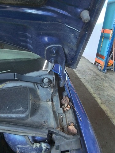 Bonnet hinge ford focus mk3 - hinge,