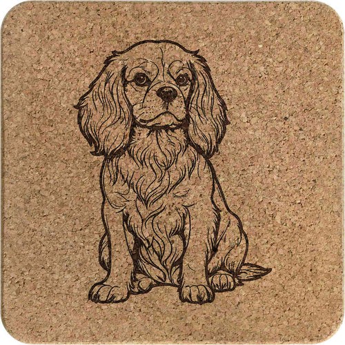 Cavalier king charles - 'cavalier, square