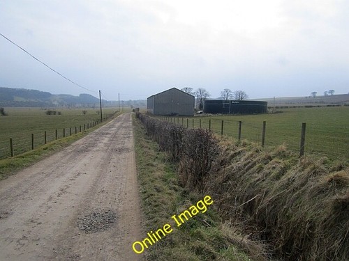 Photo 6x4 cassindilly farm - photo,