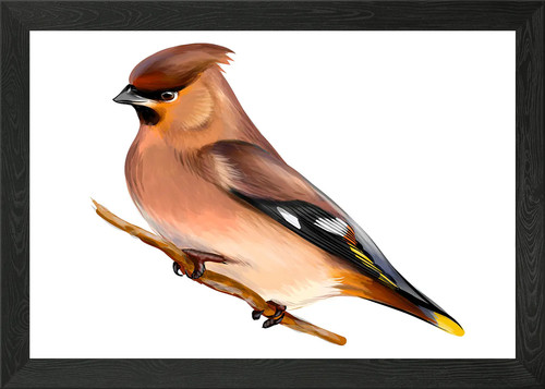 Portrait waxwing bird - portrait,