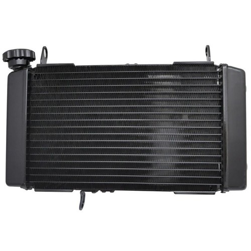 Radiator 600 hornet - hornet, 2008