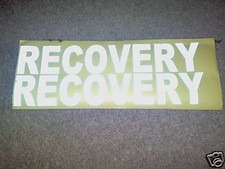   PAIR OF REFLECTIVE RECOVERY