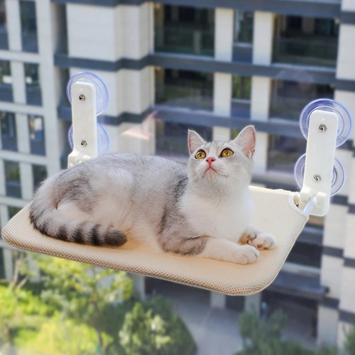Double suction cup cat - double,