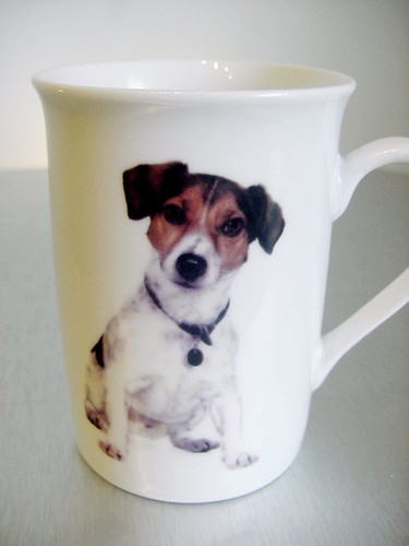 Best breed dogs - dogs, –