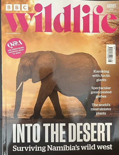 Bbc wildlife magazine issue - magazine,