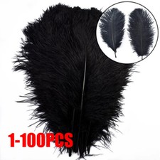 100Pcs pack Large Ostrich