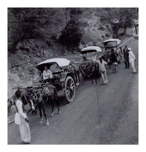 India chittorgarh fort - fort, road