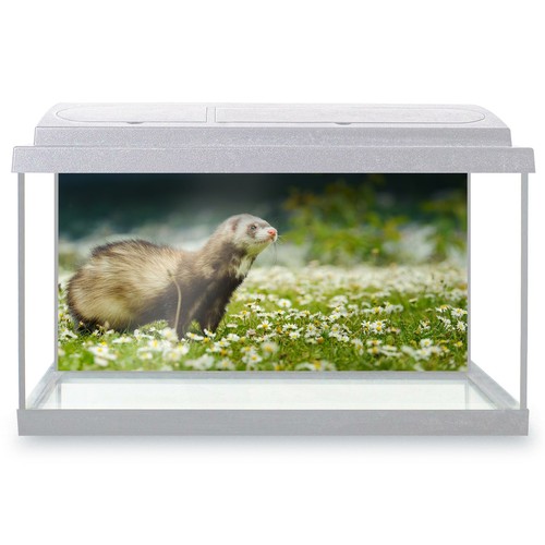 Fish tank background 90x45cm - tank,