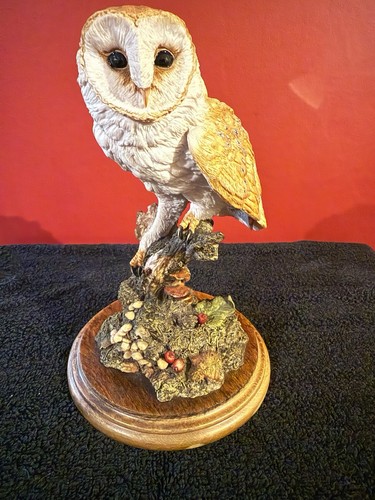 Country artist british owls - country,