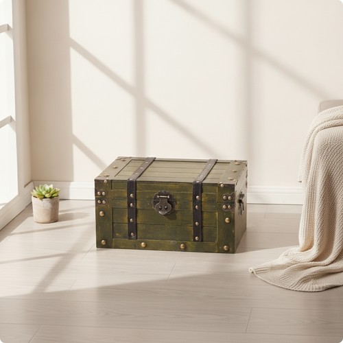 Storage trunk with - with, hinged