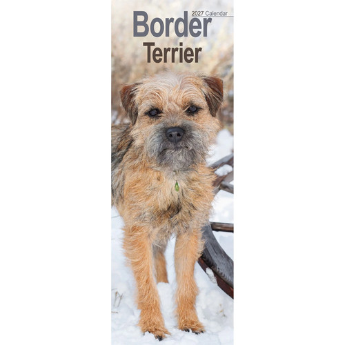 Border terrier slim 2027 - slim,
