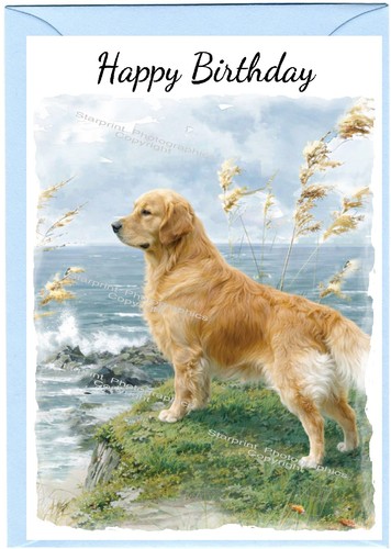 Golden retriever dog - (6"x, 4")