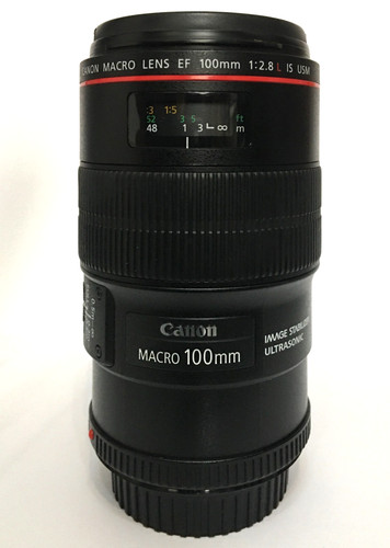 Canon 100mm 8l is usm - 100mm, f/2.8l