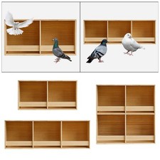 Parakeet  Wooden Parrot Nest