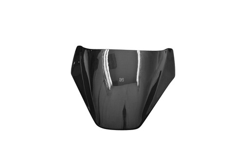 Carbon fiber pillion seat - pillion,