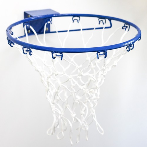 Wall mounted netball - mounted, ring