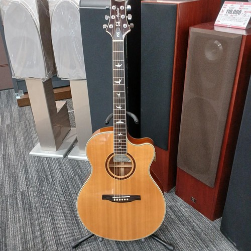 Prs angelus standard - se,