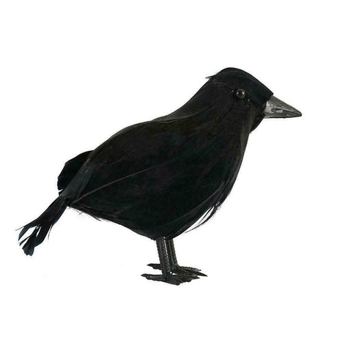 Crow bird black - black, fancy
