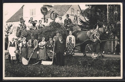 Horses pulling hay wagon - horses,