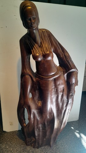 Large polished root wood - polished,