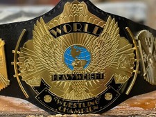 wing eagle championship belt
