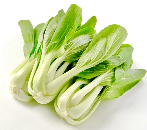 2100x cabbage pak choi - seeds,