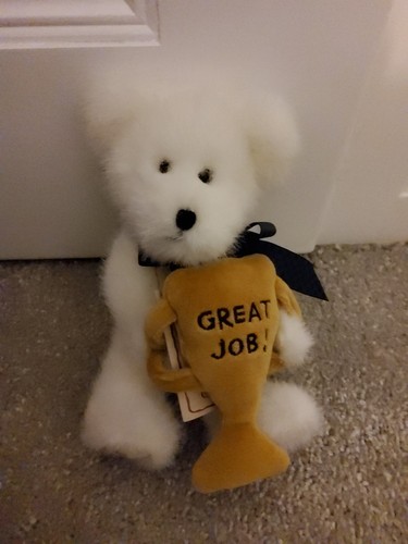 Boyds bear great - 'great, plush