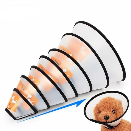 Pet dog cat cone protective - pet,