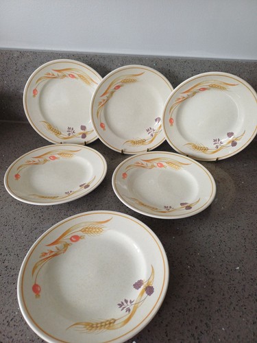 Churchill chartwell collection - chartwell,