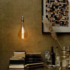 Retro Light Bulbs Frosted