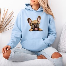 French Bulldog Dog Animal