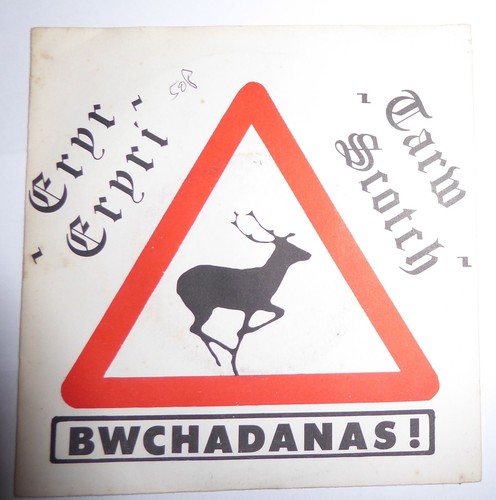 Bwchadanas eryr eryri - eryr, eryri.