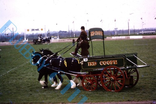 Ind coope brewery dray - ,
