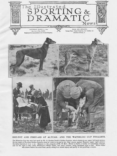 Hare coursing the - coursing,