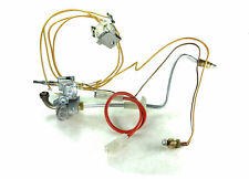 MAIN MULTIPOINT BF OVERHEAT THERMOSTAT 5110870 + PILOT BURNER ASSEMBLY 5110880 .