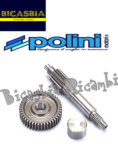 0992 polini primary gears - polini, z